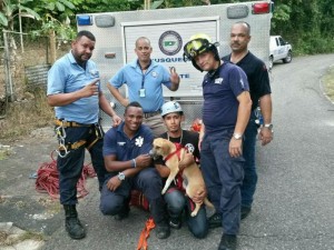 Personal de Manejo de Emergencias del Municipio de Arecibo con la perrita rescatada (Suministrada).
