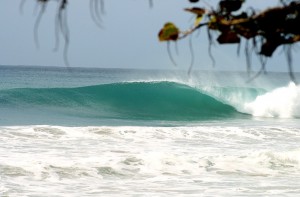 surfing rincon
