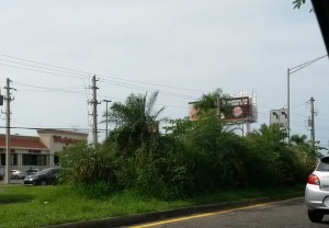 Condición actual de parte de la isleta de la carretera PR-2, frente a la urbanización Mayagüez Terrace.
