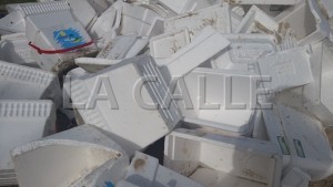 Proyecto busca que estas neveritas sean prohibidas en las playas (Suministrada DRNA).