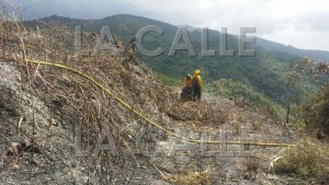 Efecto de las llamas sobre en terreno)Suministrada Bomberos).