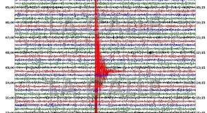 Gráfica del temblor del pasado 20 de febrero en Cabo Rojo (Fuente: Red Sísmica de Puerto Rico).
