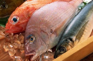 Se recomienda estar pendientes a la calidad del pescado (Archivo).