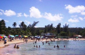playa jobos de isabela