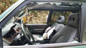 Uno de los vehículos vandalizadas en la carretera hacia el Zoológico (Foto Facebook).